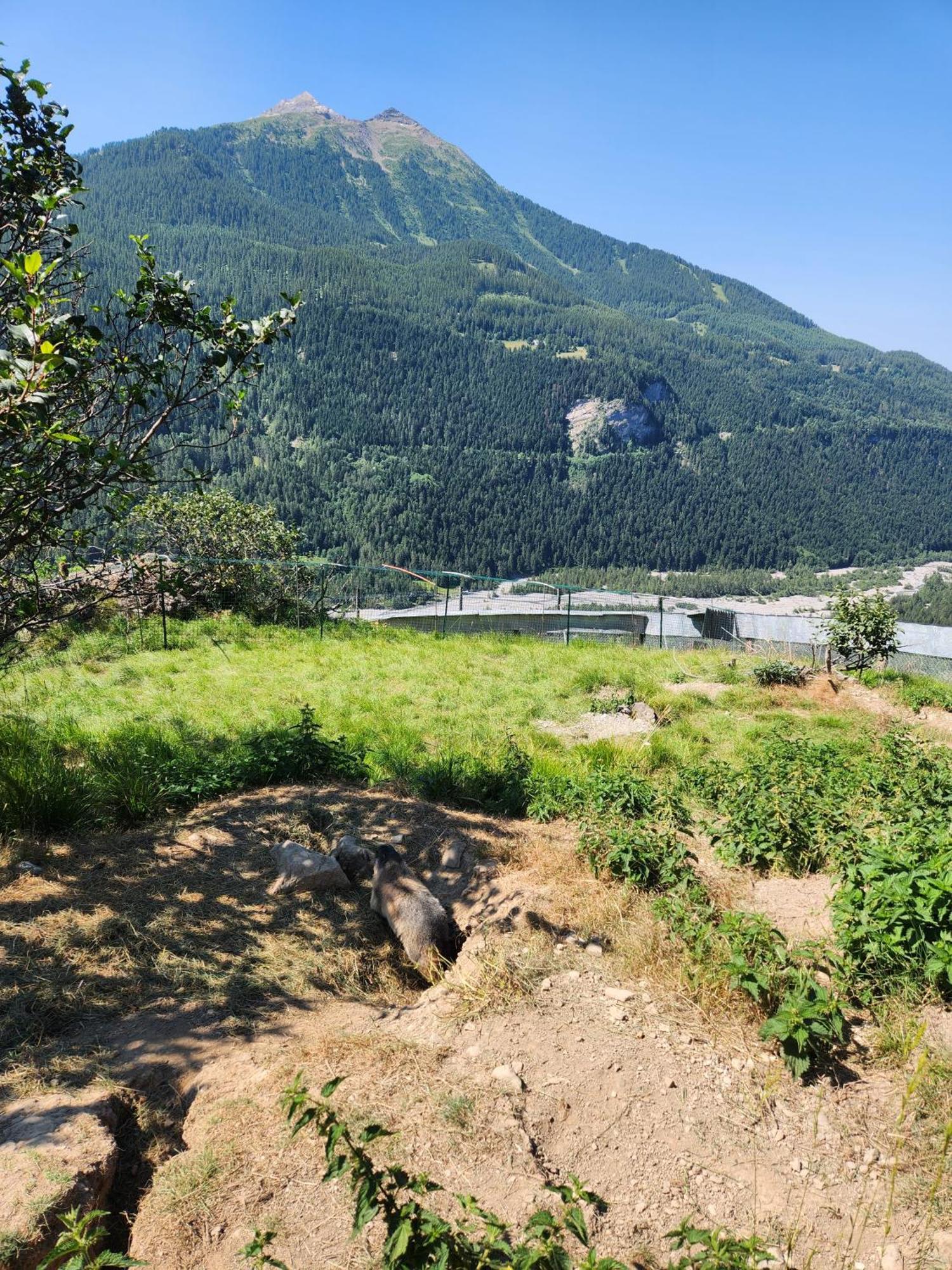 Appartement T3 Avec Jardin Proche Village Saint-Bonnet-en-Champsaur Dış mekan fotoğraf